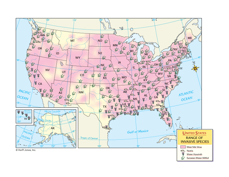 U.S. Invasive Species